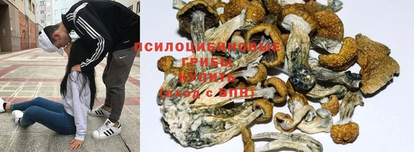 ECSTASY Балабаново
