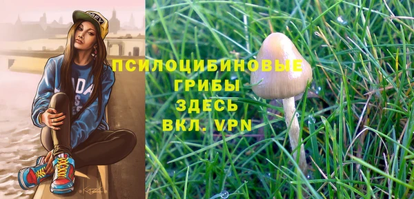 ECSTASY Балабаново