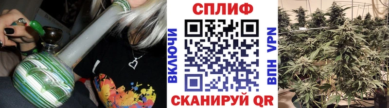 наркота  Усмань  OMG tor  Марихуана ГИДРОПОН 
